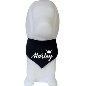 Bandana Personalizada para Cachorro Pequeno