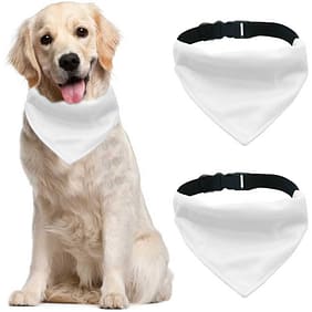 Bandana para Cachorro Personalizado