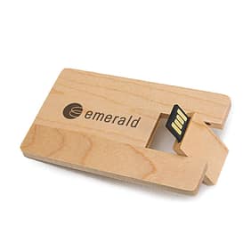 Pen Drive Bambu Card