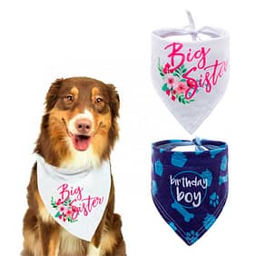 Bandana Personalizada para Cachorros