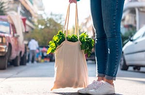 Ecobag-de-Lona