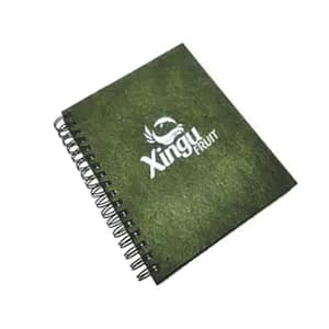 Moleskine Kraft 1015 2