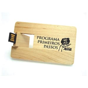 Pen Drive Bambu Card 2