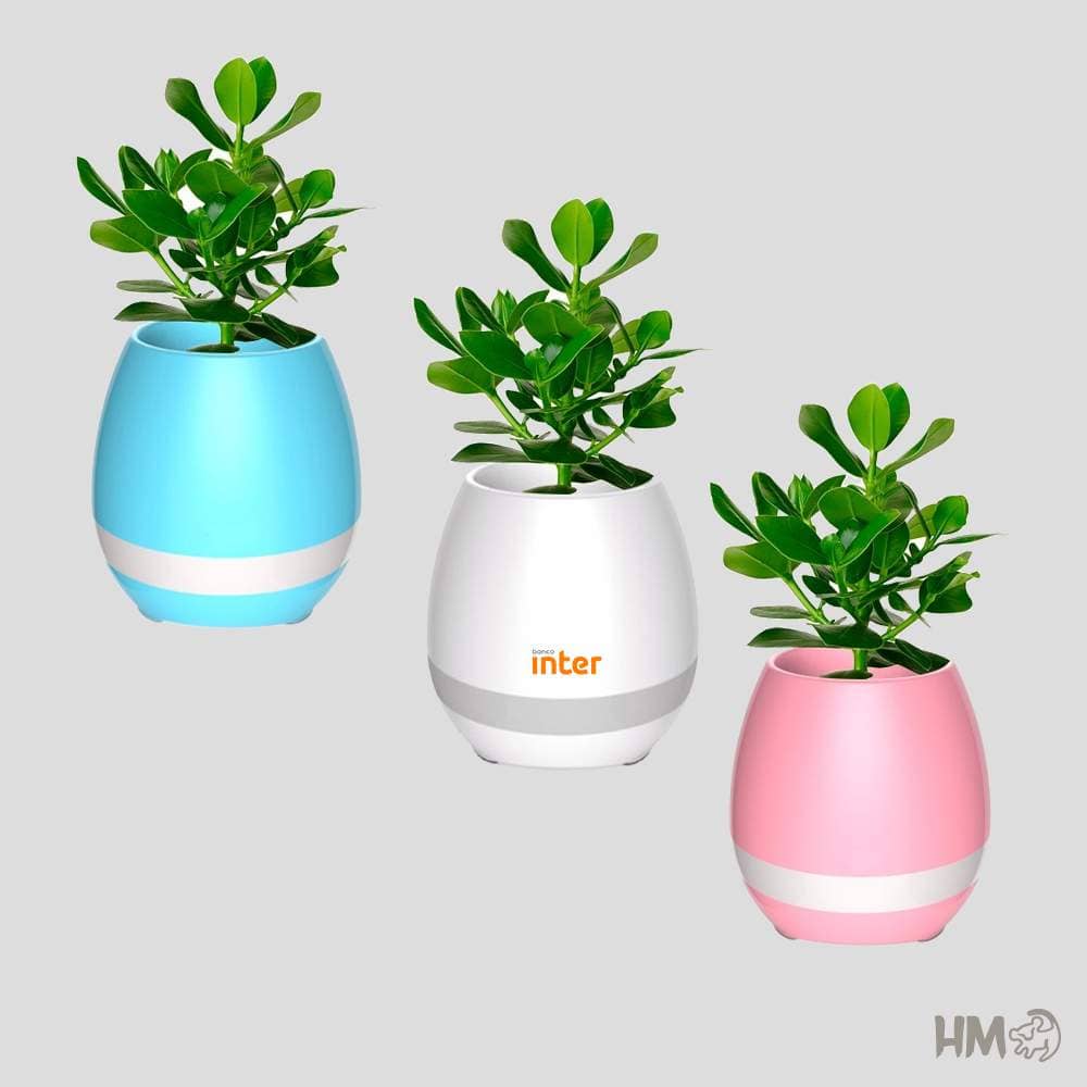 Vaso de planta musical e luminária
